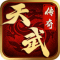 天武传奇手游官方版