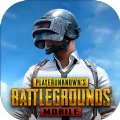 pubg国际服手游下载官方正版2024最新版本