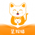 慧探猫软件最新版