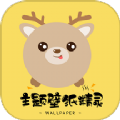 壁纸大全鸭软件最新版