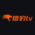 猎豹TV盒子版安装