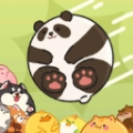 合合星球小游戏最新版
