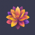 繁花锦盒app
