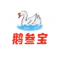鹅叁宝app