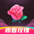 趣看玫瑰app