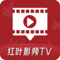 红叶影频TV软件