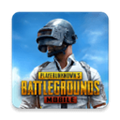 pubgmobile美版
