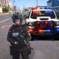 模拟警察巡逻游戏手机版