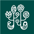 野兽派app