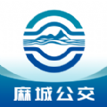 麻城公交app