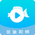 金鱼视频免费版