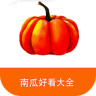 南瓜好看大全免费版