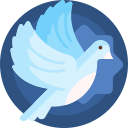 白鸽软件库无病毒版