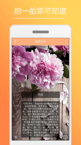 时光美图软件高清大图