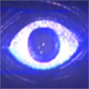 波比的游戏时间第五章无广告版免费