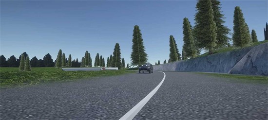 辛迪车祸模拟器手游无广告版高清大图