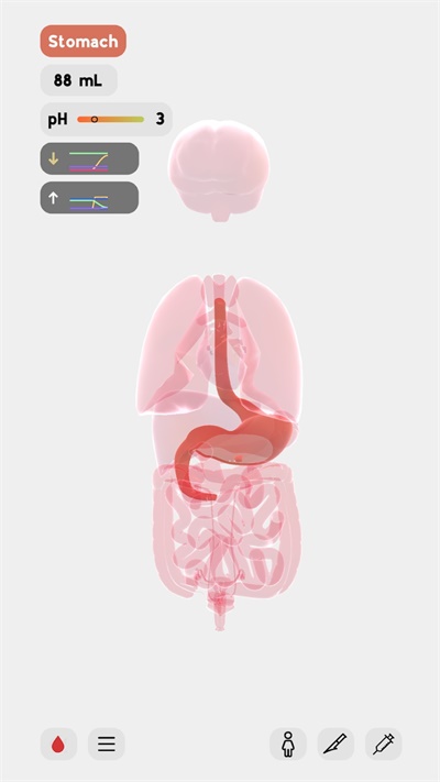 生命life汉化版安装高清大图