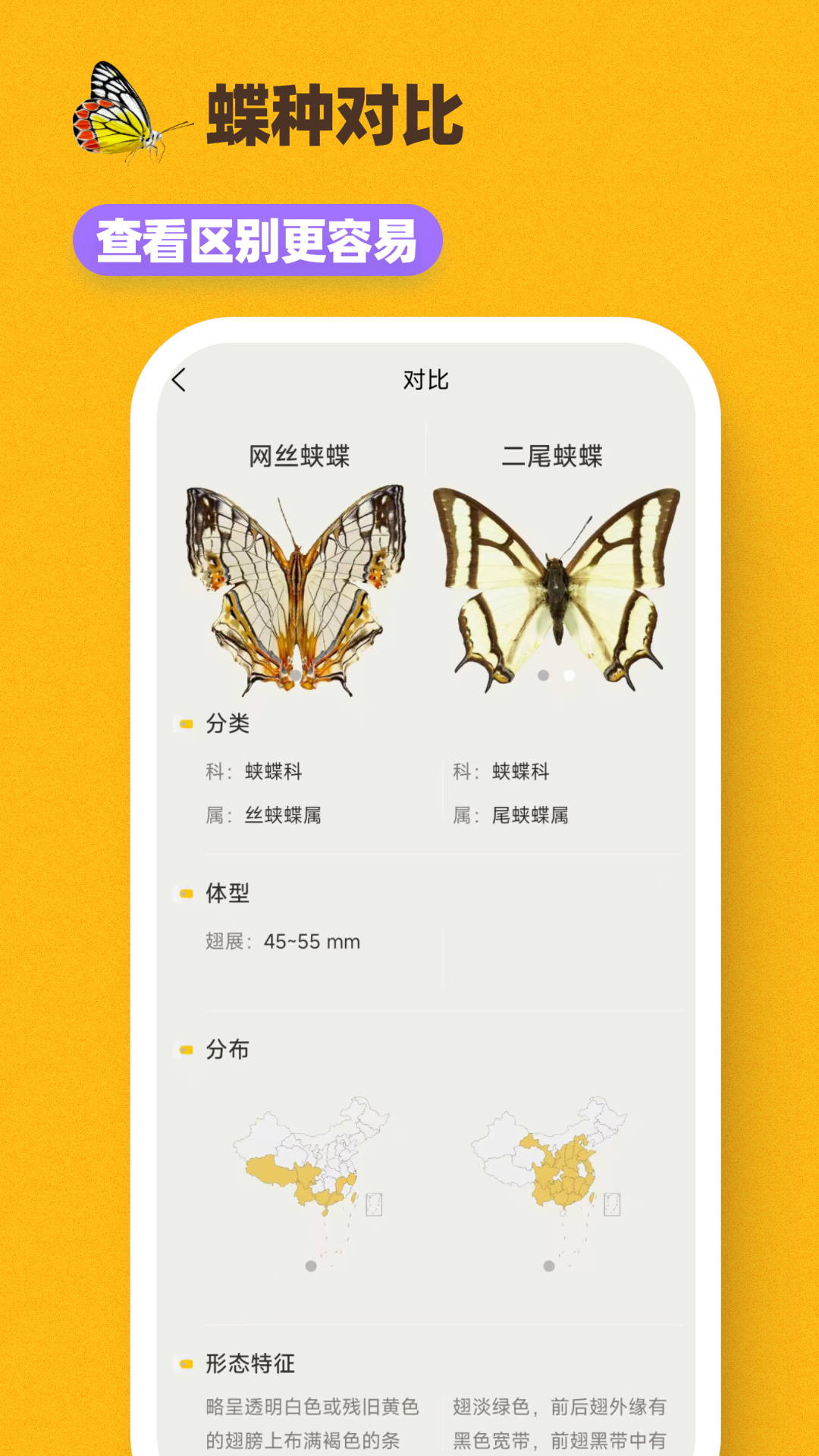 寻蝶记APP高清大图
