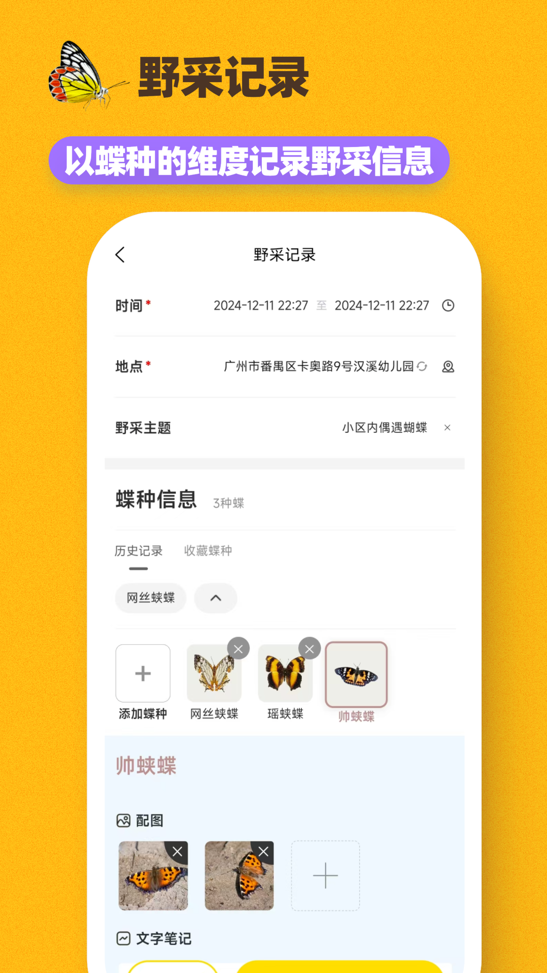 寻蝶记APP高清大图