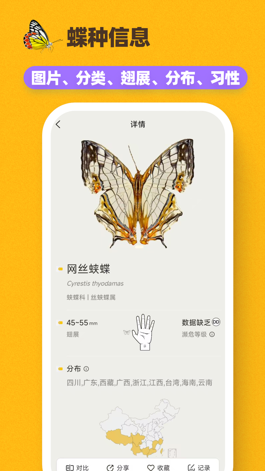 寻蝶记APP高清大图