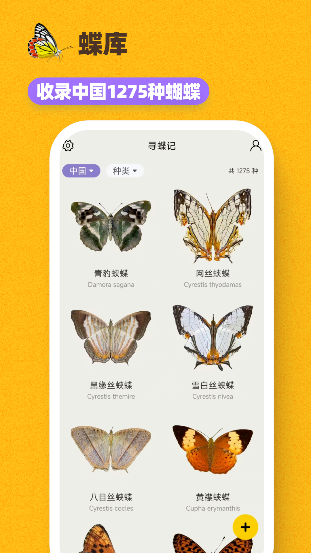 寻蝶记APP高清大图