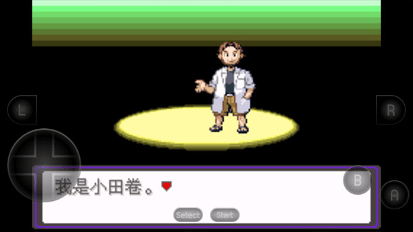 口袋妖怪:漆黑的魅影正版高清大图