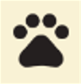 NGA净化模块最新版