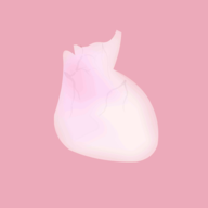 生命life2.0最新版本