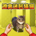 猫咪一起挤安卓版
