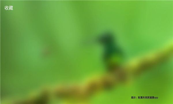 金虎影院app高清大图