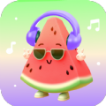西瓜畅听音乐软件