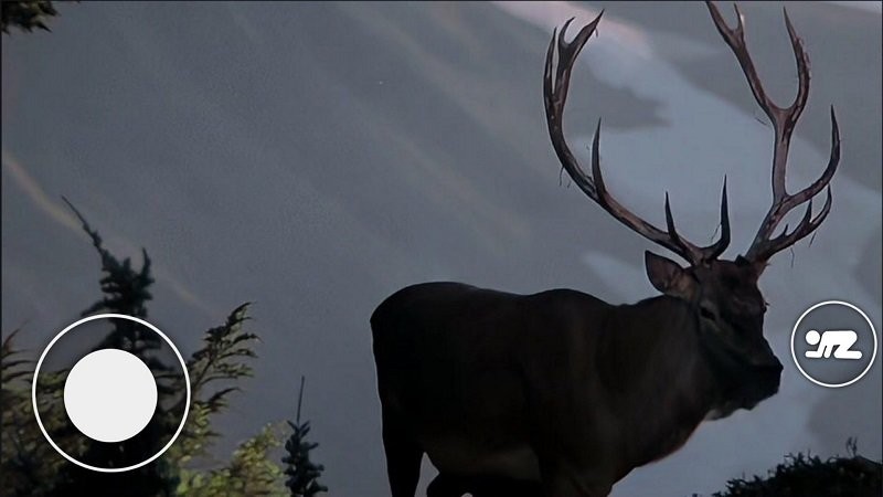 恐怖森林猎人高清大图