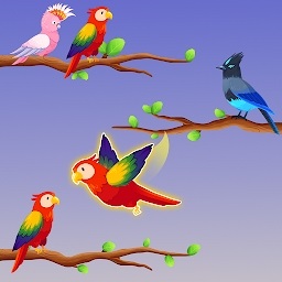 鸟类分类颜色拼图