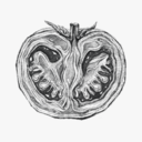 胃之书APP官方下载