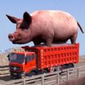 运输动物安卓版