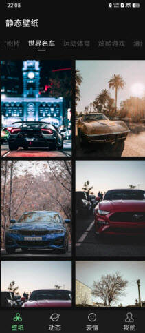 雨林壁纸app安卓版高清大图