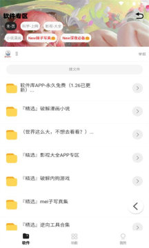 倾城软件库蓝奏云版高清大图