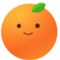 桔子浏览器官网版安装