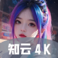 知云4K免费