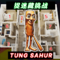 藏起来找到我免广告版