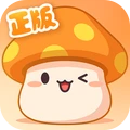 冒险岛：枫之传说中文版手游