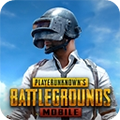 地铁逃生pubg国际服官网最新版本正版