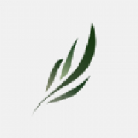 东南小说官方正版
