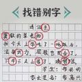错字纠正专家最新版
