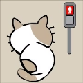 小猫不见了