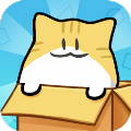 我的猫咪在哪儿最新版