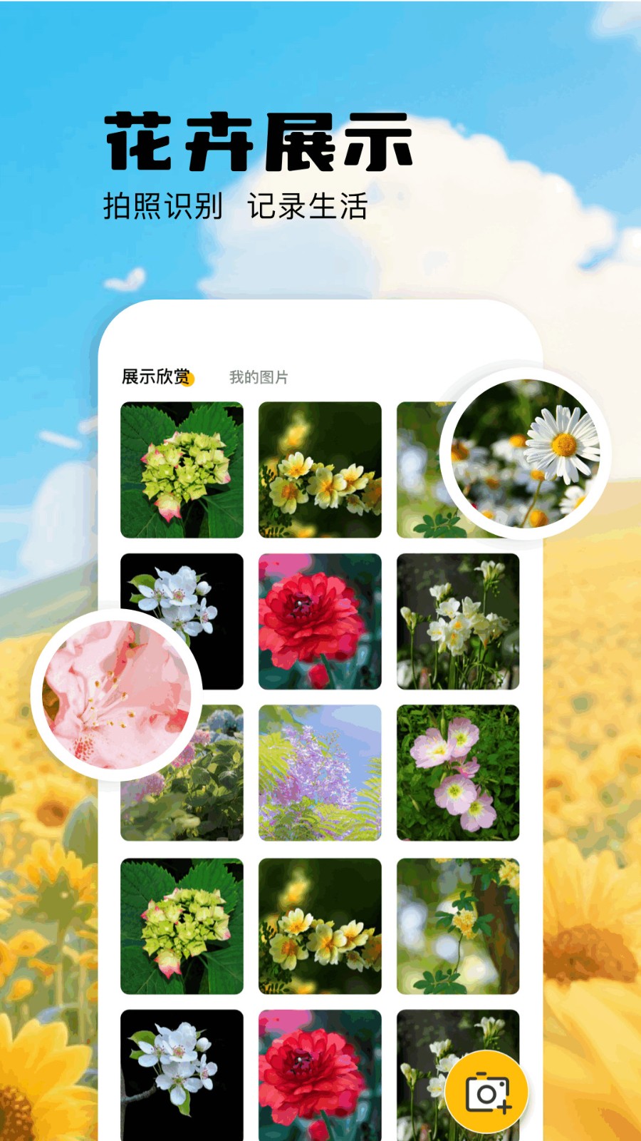 扫描识万物最新版高清大图