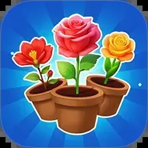 你消得真溜安装