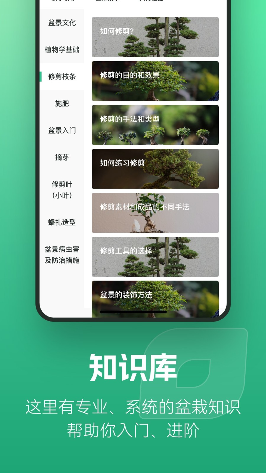 知芽盆栽APP高清大图
