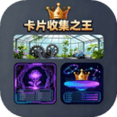 卡片收集之王游戏
